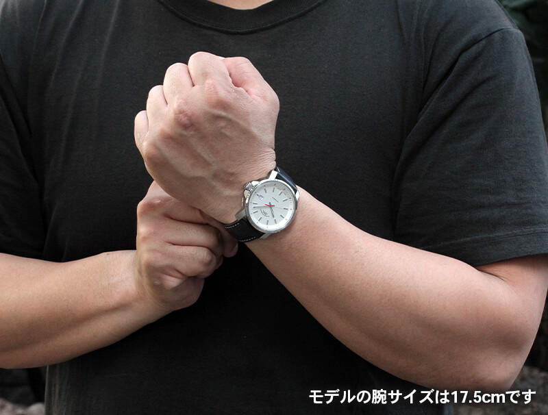 Muhle Glashutte(ミューレ・グラスヒュッテ) 29er Big 自動巻き 42mm